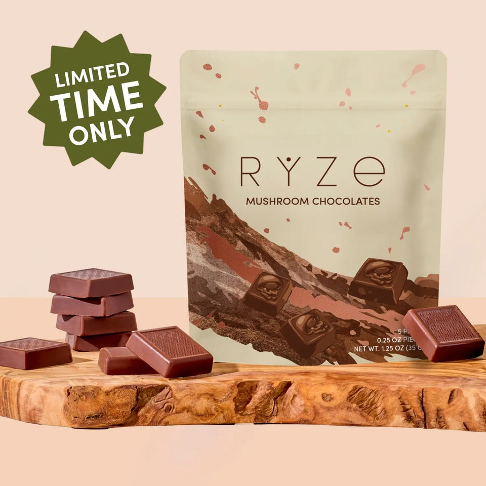 Mushroom Chocolates Rye (15 pieces) - Modern Mushroom Choice